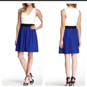 Trina Turk Araceli Ponte Fit & Flare Colorblock Sleeveless Dress - Small
